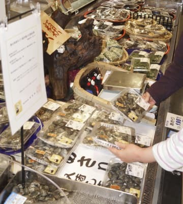 百貨店の鮮魚コーナーに並ぶ熊本県産のアサリ＝14日午後、熊本市