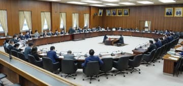 憲法改正の手続きを定める国民投票法を巡り、討議する衆院憲法審査会＝12日午前
