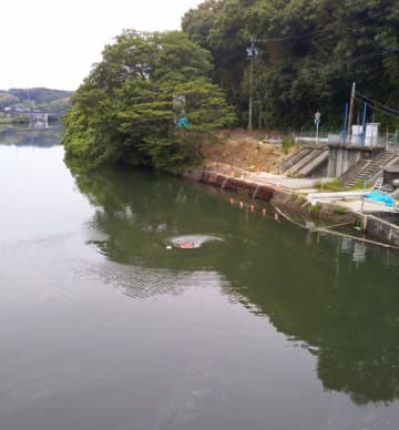 漏水が起きている「明治用水頭首工」上流の様子＝17日、愛知県豊田市（同県提供）