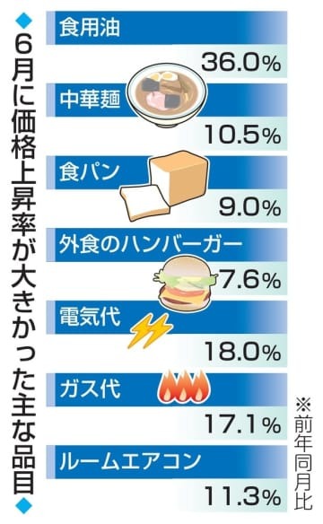 6月に価格上昇率が大きかった主な品目