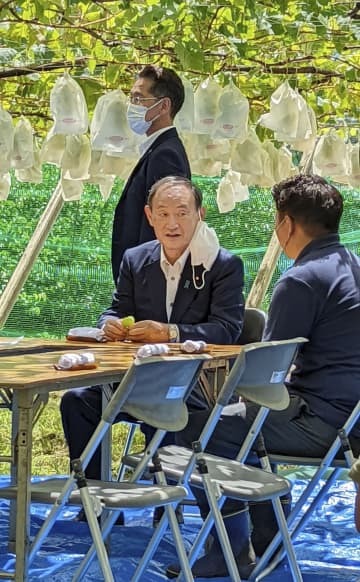 ブドウ農家を視察し、意見交換する自民党の菅前首相＝18日午後、山梨県山梨市