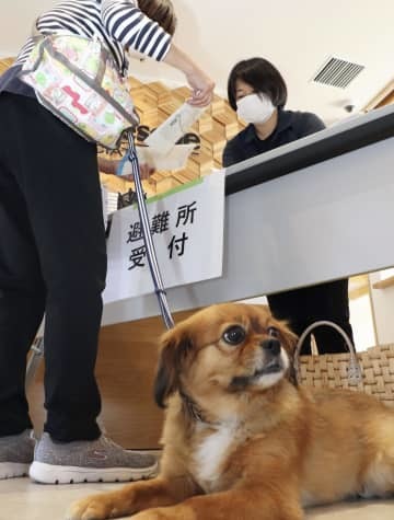 玄海原発の重大事故訓練で初導入された、ペット同伴避難の訓練＝29日午前、佐賀県大町町