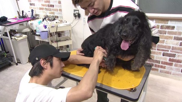 相葉雅紀、岸優太（C）日本テレビ