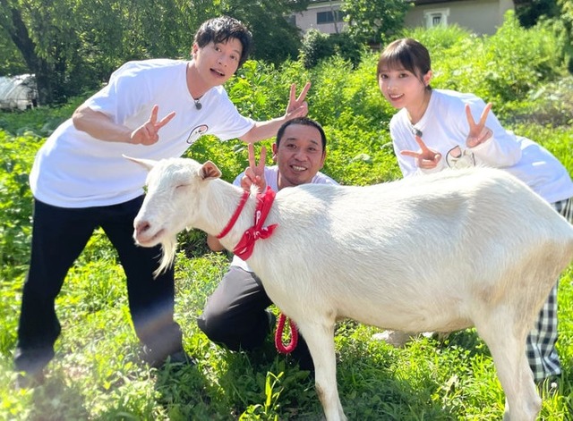 田中圭、ヤギのポポ、大悟、与田祐希（C）テレビ東京