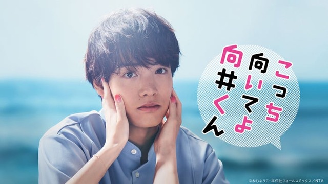赤楚衛二主演「こっち向いてよ向井くん」（C）日本テレビ