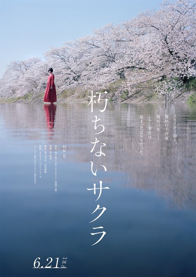 杉咲花主演「朽ちないサクラ」ティザービジュアル（C）2024 映画「朽ちないサクラ」製作委員会