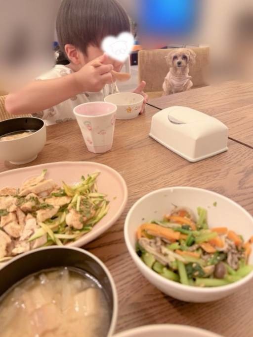 辻希美、夕食は手作り牛丼！息子の食事中SHOT公開「そして狙う犬 笑。」