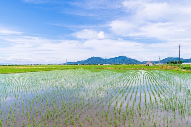 田んぼの横を通った瞬間「たかしがいる！」指を先にあったものとは！？