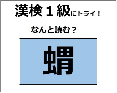 「蝟」の読み方、わかる？「蛸（たこ）」じゃないよ。とてもかわいらしい哺乳動物！【漢字クイズ】