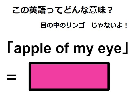 この英語ってどんな意味？「apple of my eye」