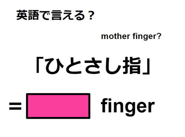 英語で「ひとさし指」はなんて言う？