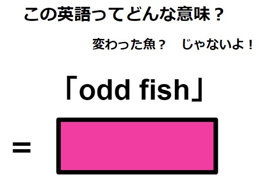 この英語ってどんな意味？「odd fish」