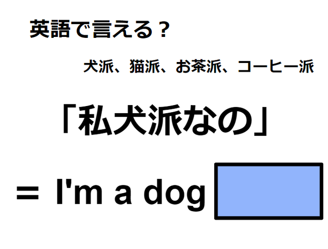 英語で「私犬派なの」はなんて言う？