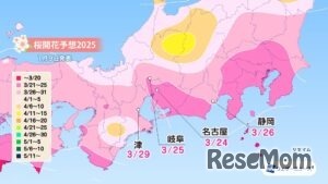 各エリアの桜開花予想・東海