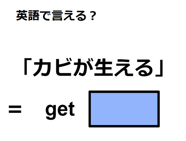 英語で「カビが生える」はなんて言う？