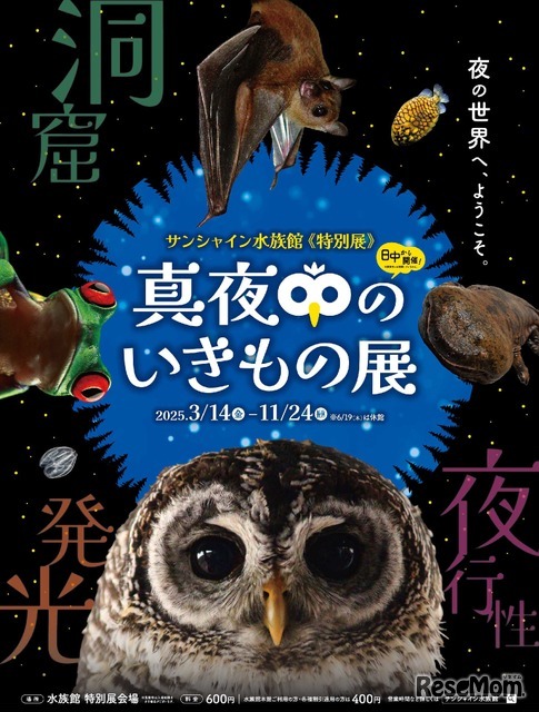 サンシャイン水族館 特別展「真夜中のいきもの展」