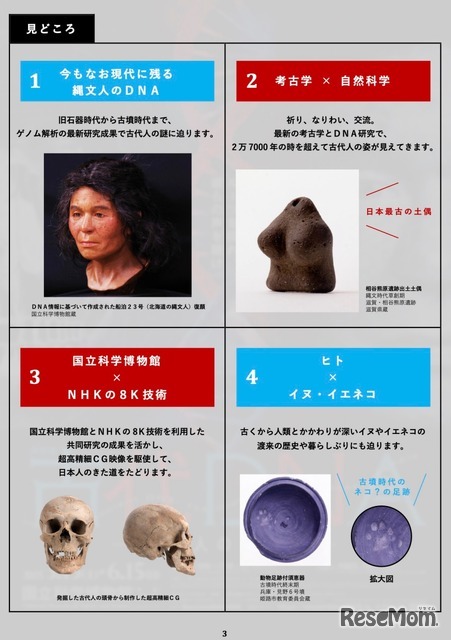 特別展の見どころ