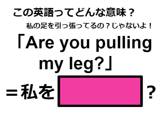 この英語ってどんな意味？「Are you pulling my leg? 」