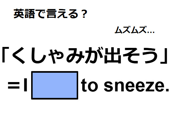 英語で「くしゃみが出そう」はなんて言う？