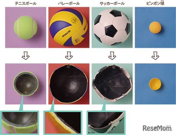 いろいろな切断した面をみる