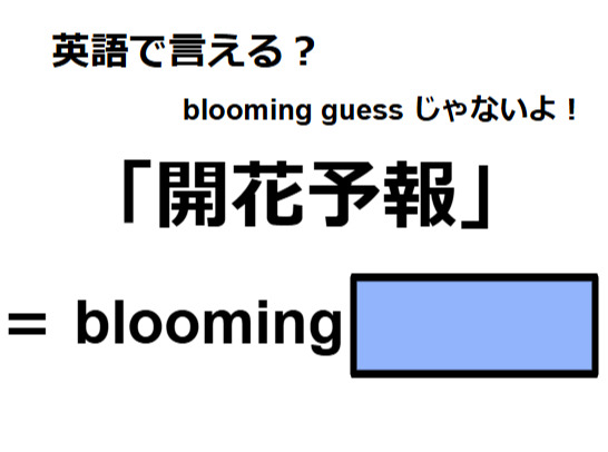 英語で「開花予報」はなんて言う？