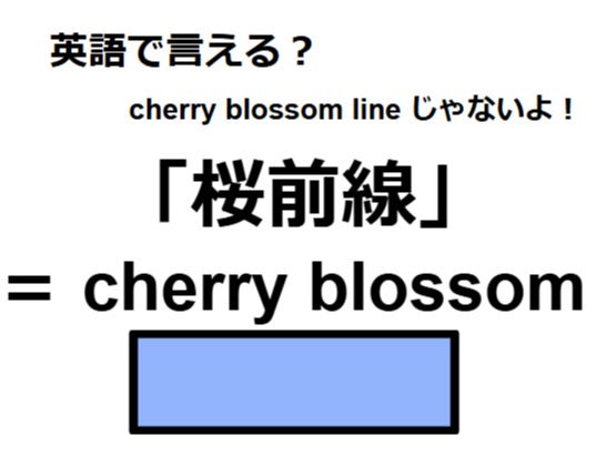 英語で「桜前線」はなんて言う？