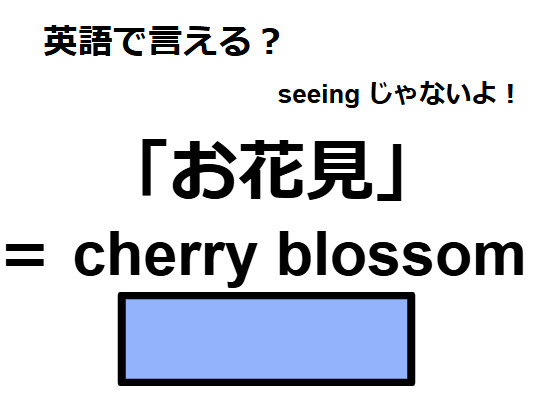 英語で「お花見」はなんて言う？