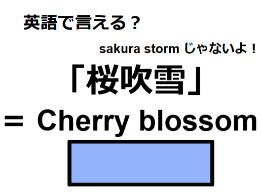 英語で「桜吹雪」はなんて言う？