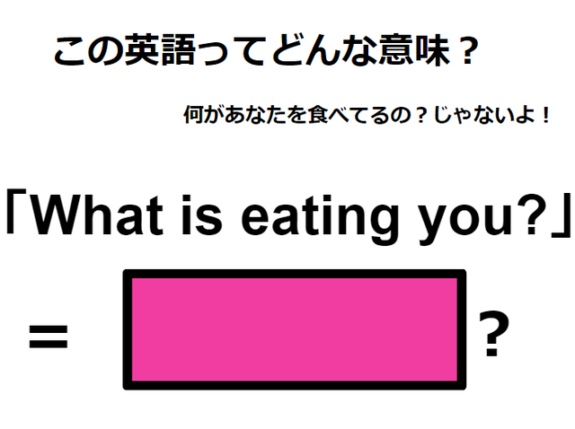 この英語ってどんな意味？「What is eating you? 」
