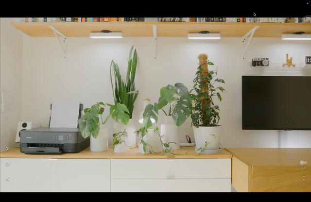 部屋に置かれた観葉植物の花瓶は、Matthewさんがデザインし、この3Dプリンタで出力したものだ。
