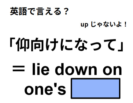 英語で「仰向けになって」はなんて言う？