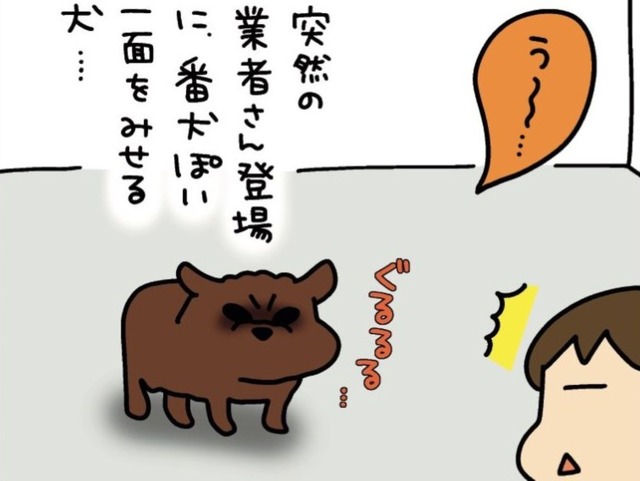 我が家の犬は、まるで「イキってる中学生」狂犬と見せかけて、実際は…【うちはおっぺけ 3姉妹といっしょ 10 #１】