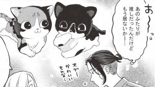 子猫二匹との出会いが運命を変える？…貧乏作曲家、里親へ一歩前進？【借金1000万作曲家の人生を変えてくれた猫の話 #３】