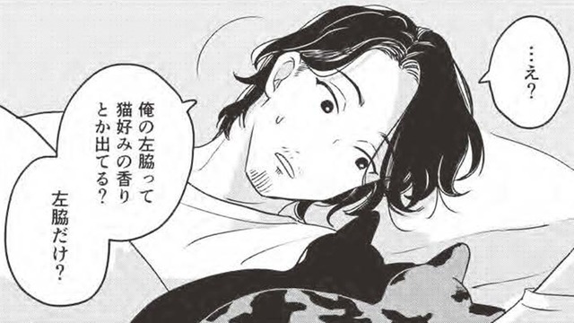 左脇が好き？…一夜で心を奪われる飼い主と甘えん坊猫の関係はどうなる？【借金1000万作曲家の人生を変えてくれた猫の話 #５】