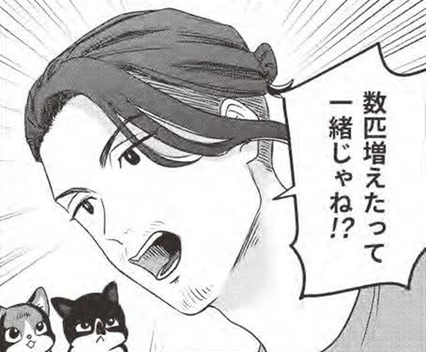 殺処分の猫を引き取りに？…猫愛が溢れすぎの男の運命に何が？【借金1000万作曲家の人生を変えてくれた猫の話 #６】