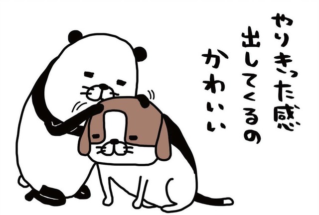 愛犬・梅吉14歳、オスのビーグル犬。トイレで「やりきった感」を出す？【パンダと犬 ＃１】