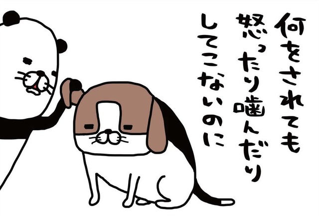 普段はおっとり愛犬・梅吉。唯一「野生の本性」をむき出しにするのは…【パンダと犬 ＃２】