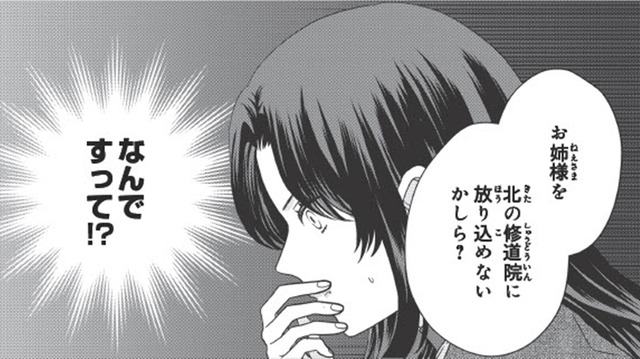 「義姉のせいでいい縁談が来ない」そんな理由で修道院に？【双子王子の継母になりまして #３】