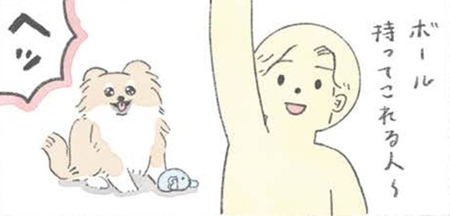 「～する人」という言葉に弱い愛犬むっく…このワードで躾に従う？【うちのむっくはいつも楽しそう #３ 】