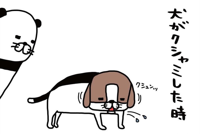 ジャーキーを食べる愛犬がかわいい思わず口に近づいてみると…【パンダと犬 ＃６】
