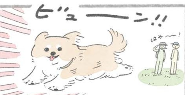 ドッグラン大好きむっく…他の犬にあいさつを…その後に待つことは?!【うちのむっくはいつも楽しそう #４】