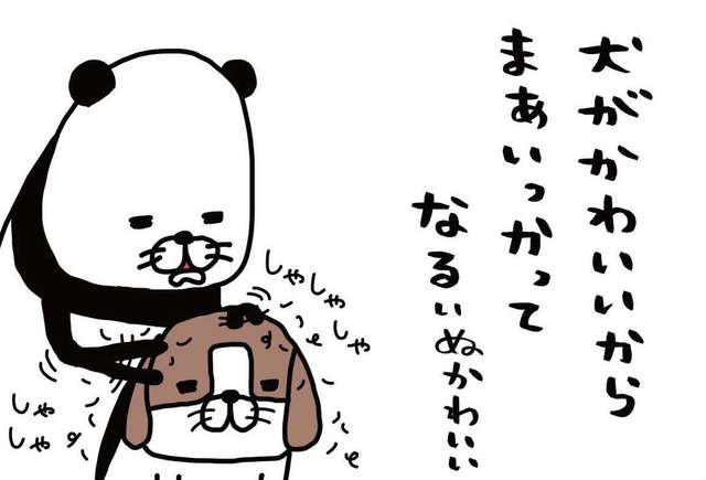 「夢や希望」なくしたのは、いつだっけ？  そんな思いも帳消しにしてくれる存在【パンダと犬 ＃８】
