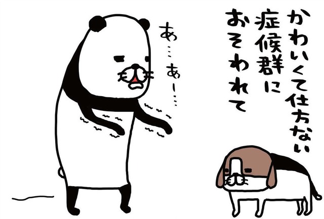 愛犬がかわいくて仕方ない症候群。あふれる想いを耳元にささやく…伝わってる？【パンダと犬 ＃10】