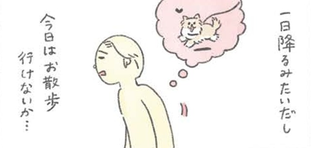 雨の日も玄関で散歩を待つ愛犬むっく…小雨のなか大はしゃぎ！【うちのむっくはいつも楽しそう #６ 】