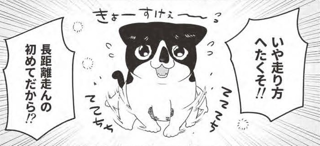 「マンション買ってよかった〜」駆け寄る猫の姿に幸せMAX。走り方がヘタなのには理由が…【借金1000万作曲家の人生を変えてくれた猫の話 #12】