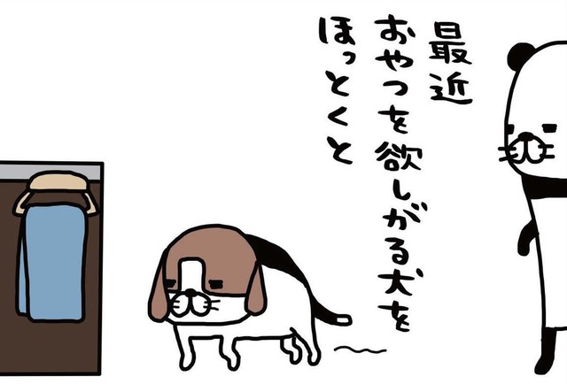 食事はカリカリとジャーキーの繰り返し。全く飽きたそぶりナシ？【パンダと犬 ＃15】