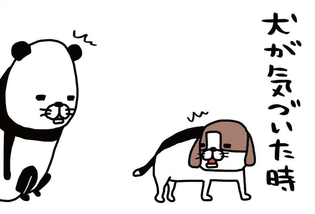 犬と洋服の間に素足を潜りこませた時の感覚 知ってる人、いる？【パンダと犬 ＃16】