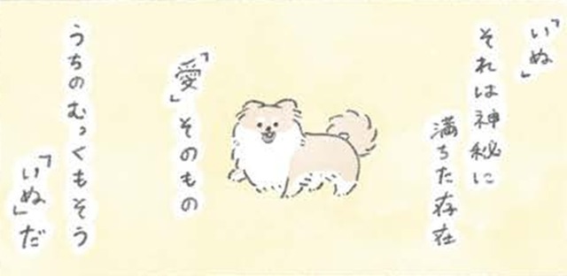 犬の神秘…むっくは胸毛もふわふわ過ぎて「愛」そのものの存在か?!【うちのむっくはいつも楽しそう #９ 】