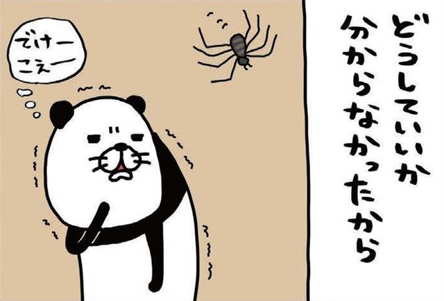 家に巨大なクモが出現!! 心を落ち着かせるため、震える手で愛犬・梅吉を…【パンダと犬 ＃19】