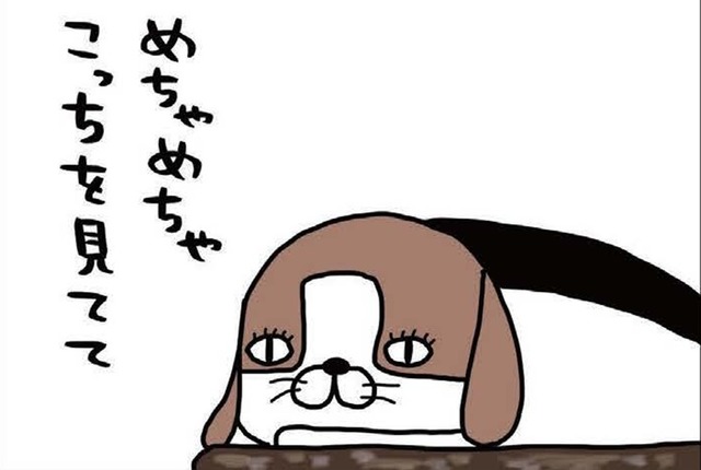 大仕事がひと段落！愛犬に見せたくてたまらない景色とは？【パンダと犬 ＃22】